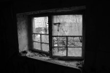 Fenster.jpg