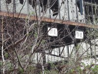 P4050311_Bildgröße ändern.JPG