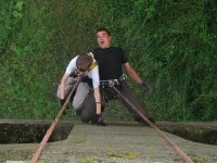 alles in Ordnung Schredder.jpg