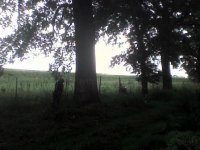 DSC00121.JPG