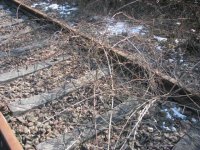 IMG_5313.JPG