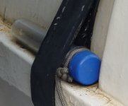 Petling3.jpg