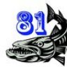 Barracuda81