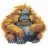 Flachlandgorilla