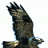 Bussard