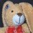 Hase.Siegfried