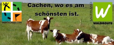 cachen.jpg