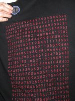 Kopie von Pi-Shirt.jpg