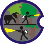 Coin2.PNG