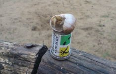 geocache_schnecke_cache.jpg