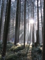 Geocaching 001.jpg