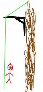 baum.JPG