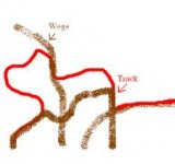 track.jpg track.jpg