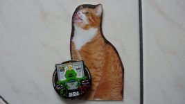katzenfrosch.jpg