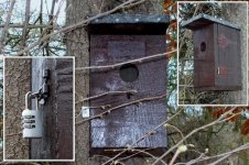 KK Nistkasten - Versteck oder.jpg KK Nistkasten - Versteck oder.jpg