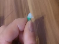 2017-06-23 17.55.39.jpg