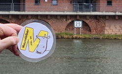 1765662412680.png 1765662412680.png