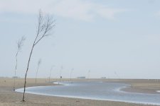 DSC00729.JPG