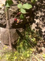 DSC00010.JPG