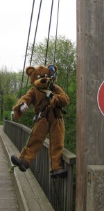 bär.jpg