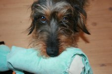 Kopie von Juni 2008 027.jpg