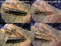 quivers-und-arrows-event-xle.jpg