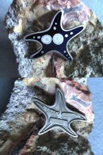 starfish.jpg