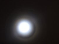 DSC00402.JPG