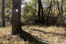 geocaching_ru-2010-10-14-001.jpg