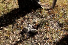geocaching_ru-2010-10-14-002.jpg