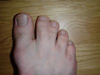 CIMG0743.JPG