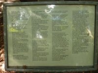P1080808k.jpg