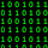 Binary2002