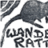 Wanderratte