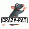 crazy-rat