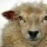 Schaf Shaun