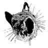 Morcilla