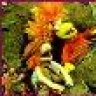 Fraggels