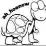 ah_hoenow