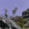flora e fauna
