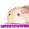 Meerschweinchenbande