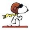 Snoopy&amp;Wing