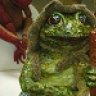Haderner Frosch