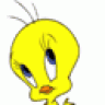 Tweety160876