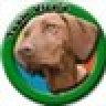 Teamviszla