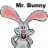 Mr.Bunny