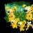 Die Marsupilamis