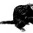 tasdevil13
