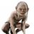 Smeagol88