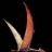 Quetzalcoatlus